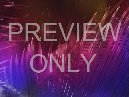 EASTER JOURNEY PALMS 08 STILL