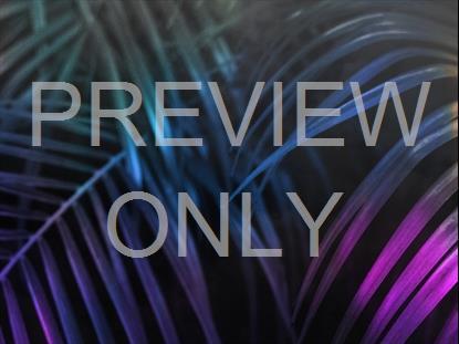 EASTER JOURNEY PALMS 09 STILL