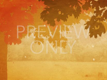 FALL COLORS 01 STILL