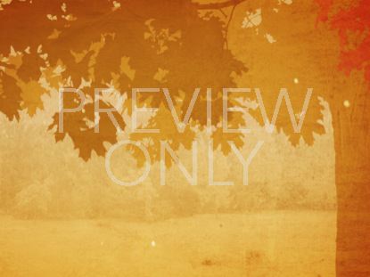 FALL COLORS 02 STILL