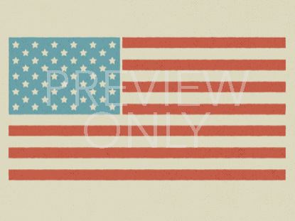 FREE INDEED AMERICAN FLAG STILL