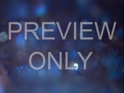 GLITTER SPARKS 03 STILL