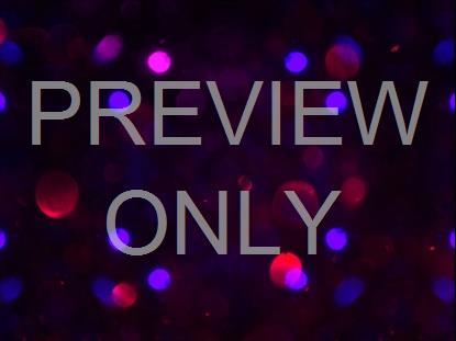 GLITTER SPARKS 11 STILL