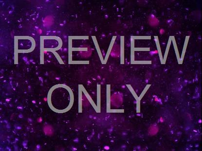 GLITTER SPARKS 16 STILL