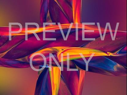 GRADIENT PAINT 12 STILL