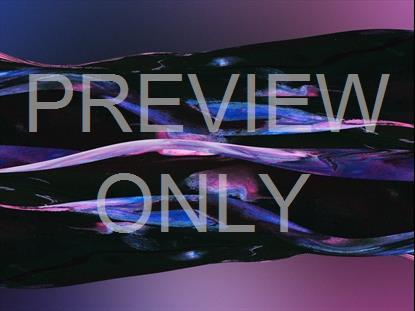 GRADIENT PAINT 14 STILL