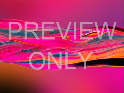 GRADIENT PAINT 17 STILL