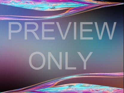 GRADIENT PAINT 18 STILL