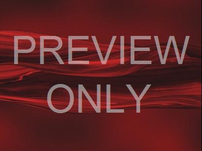 GRADIENT PAINT 20 STILL