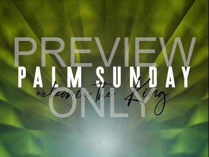 ILLUMINATE PALM SUNDAY STILL