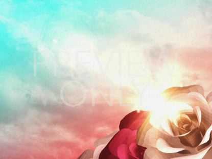 MOTHER'S DAY FLOWERS 04