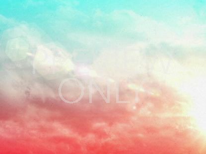 MOTHER'S DAY FLOWERS 05