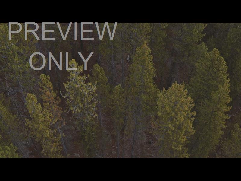 MOUNTAIN SKY 06 STILL