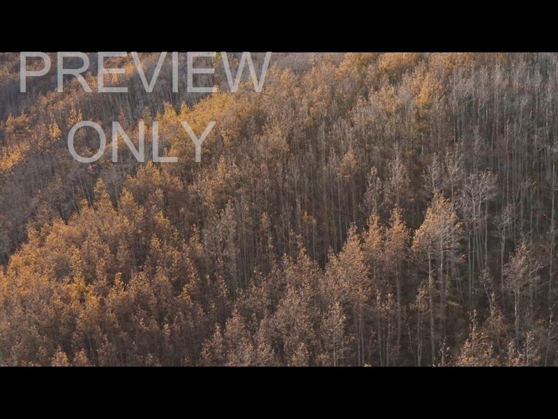 MOUNTAIN SKY 11 STILL