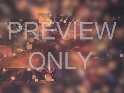 NEW YEAR JOURNEY 04 STILL