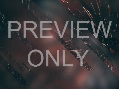 NEW YEAR JOURNEY 06 STILL