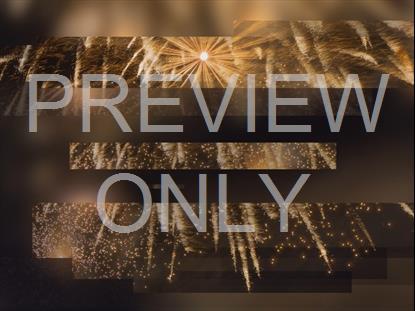 NEW YEAR JOURNEY 08 STILL