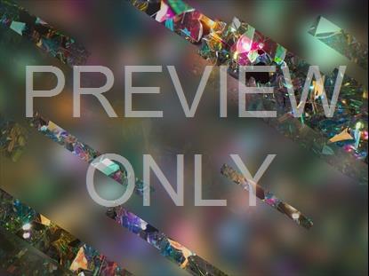 NEW YEAR JOURNEY 12 STILL