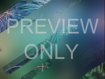 NEW YEAR JOURNEY 15 STILL