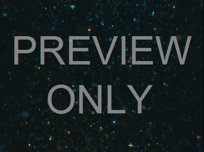 NEW YEARS GLITTER 05 STILL