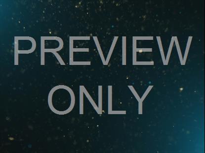 NEW YEARS GLITTER 07 STILL