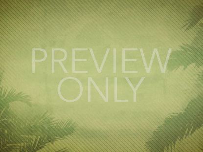 PALM SUNDAY 04 STILL