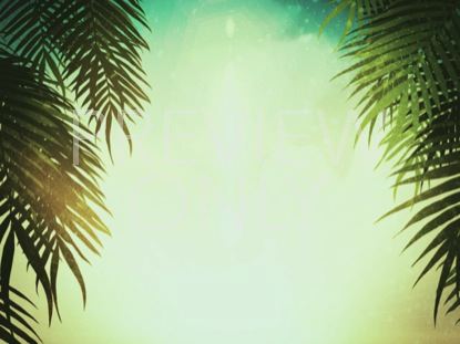 PALM SUNDAY STILL 01