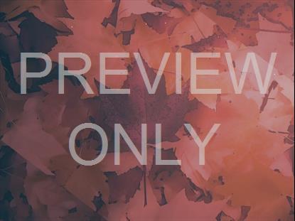 PEACEFUL AUTUMN 01 STILL