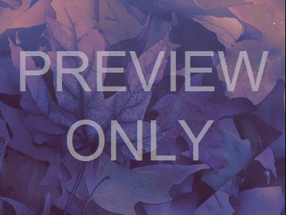 PEACEFUL AUTUMN 02 STILL