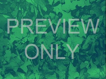 PEACEFUL AUTUMN 03 STILL