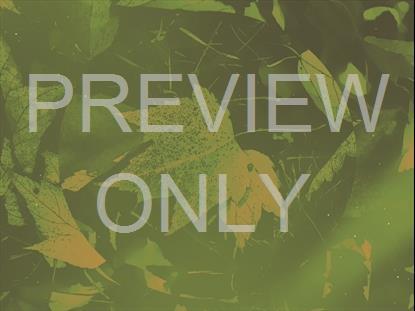 PEACEFUL AUTUMN 05 STILL