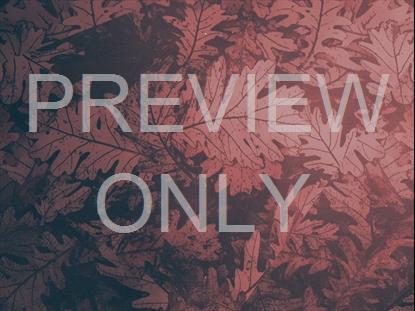 PEACEFUL AUTUMN 06 STILL