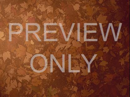 PEACEFUL AUTUMN 07 STILL