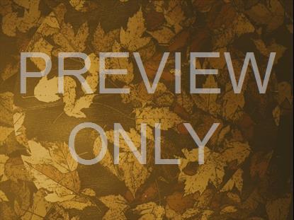 PEACEFUL AUTUMN 09 STILL