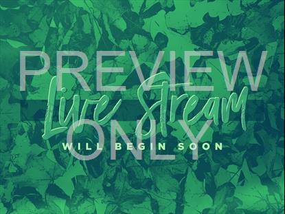 PEACEFUL AUTUMN LIVE STREAM STILL