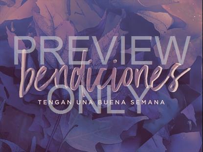 PEACEFUL AUTUMN SPANISH CLOSING STILL