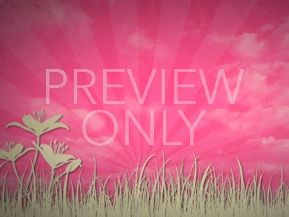 PINK FLORAL 03 STILL