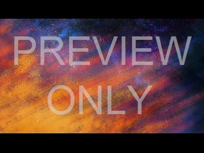 RADIANT PAINT PALMS 02