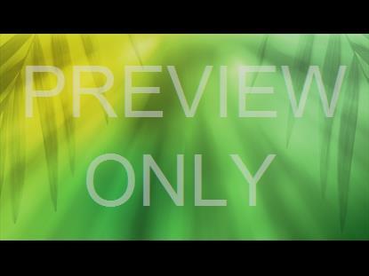 RADIANT BLUR PALM SUNDAY 03 STILL