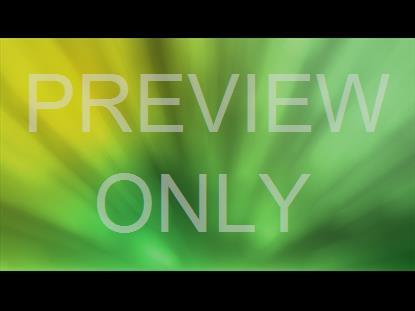 RADIANT BLUR PALM SUNDAY 04 STILL