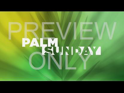 RADIANT BLUR PALM SUNDAY STILL