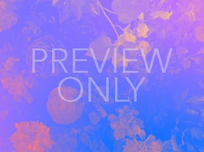 RADIANT GRADIENT FLOWERS 02