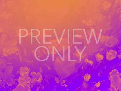 RADIANT GRADIENT FLOWERS 03