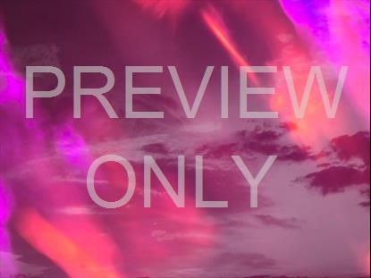 REFRACTED NATURE STILL 02