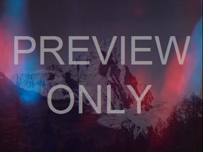 REFRACTED NATURE STILL 03