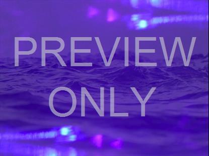 REFRACTED NATURE STILL 04