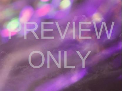 REFRACTED NATURE STILL 05