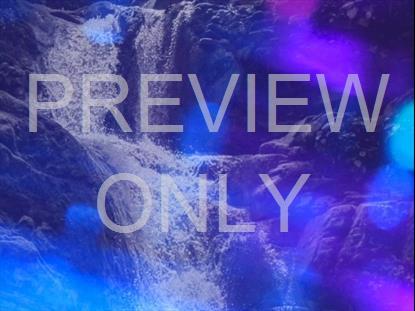 REFRACTED NATURE STILL 06