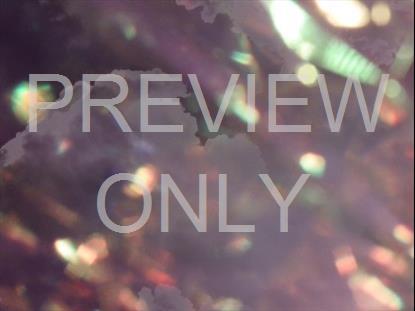 REFRACTED NATURE STILL 07