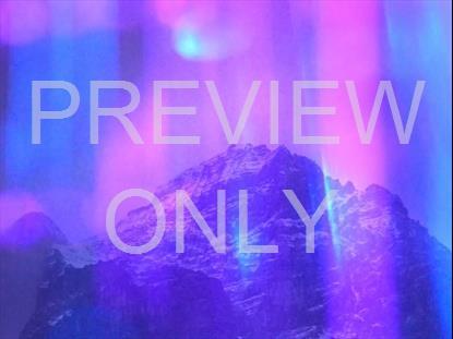 REFRACTED NATURE STILL 08